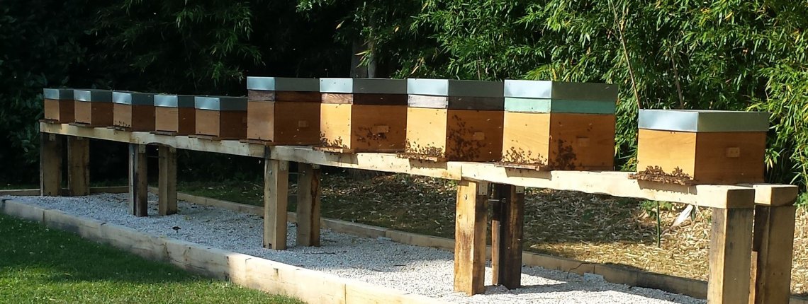 Le groupe Charlois de Murlin et ses ruches en chêne. 